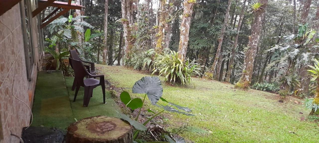 El Nido Cerro Azul Hotel Exterior photo